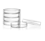 Placa De Petri De Vidro 60x15 mm - Imagem 2