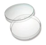 Placa De Petri De Vidro 80x15mm