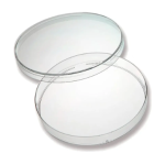 Placa De Petri De Vidro 80x15mm
