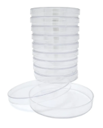 Placa De Petri De Vidro 100x15mm - Imagem 3